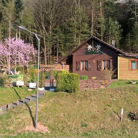 Gite Bien-Etre Walscheid Exteriör bild